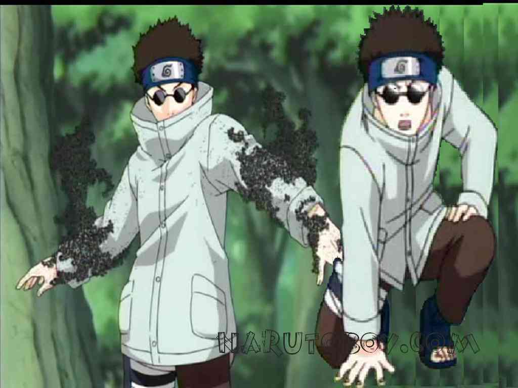 Shino Aburame.jpg